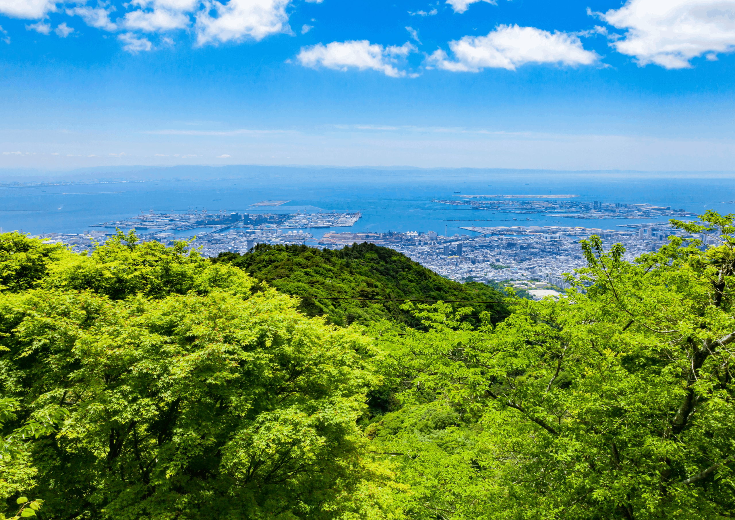 エリア特化による効率化のイメージ